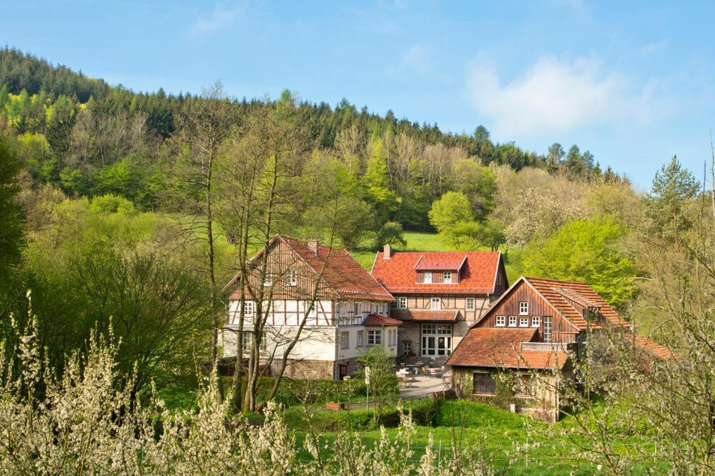Romantik Hotel Landhaus Baerenmuehle Frankenau Zewnętrze zdjęcie